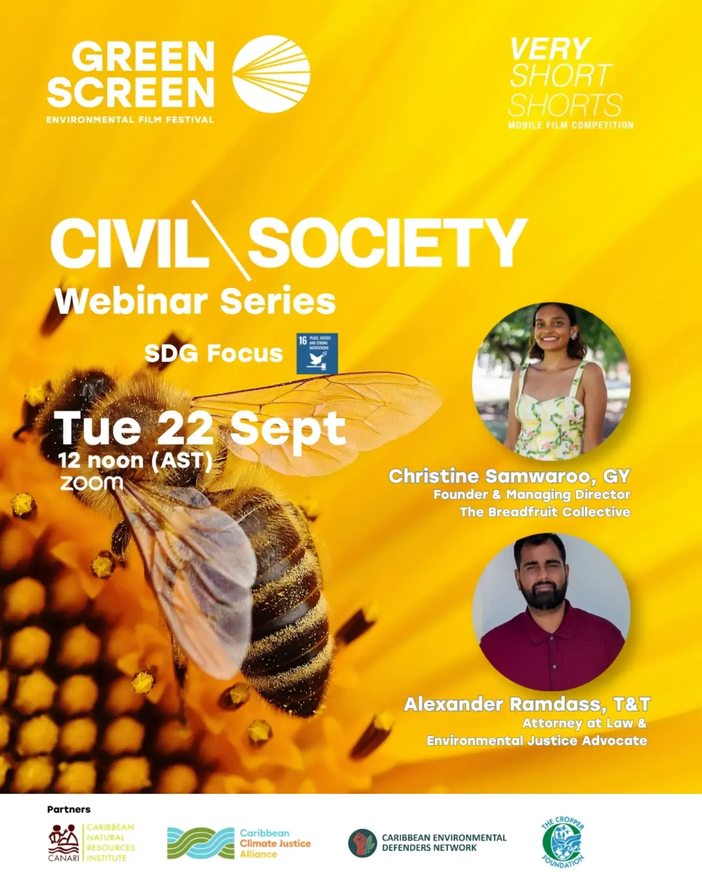 Very Short Shorts Webinar: Peace, Justice and Strong Institutions