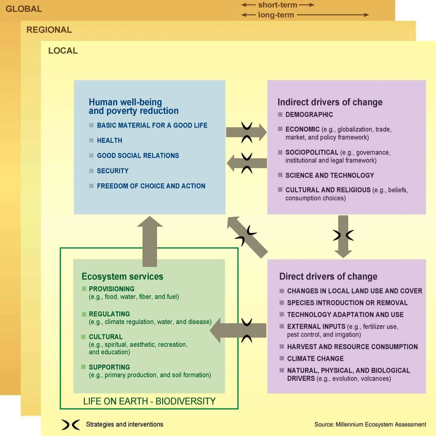 Millennium Ecosystem Assessment (2000 – 2008)