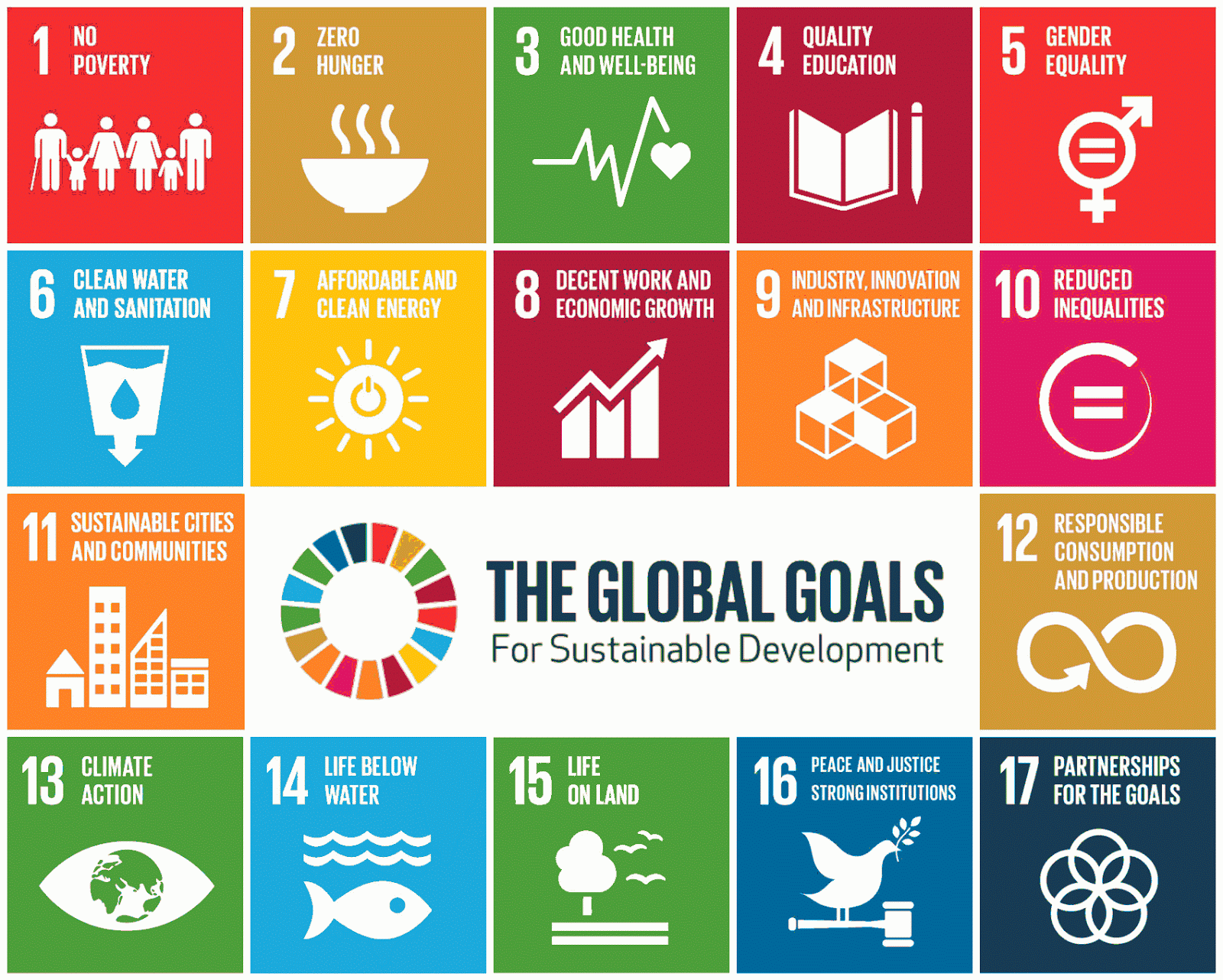 Data for Local SDG Action